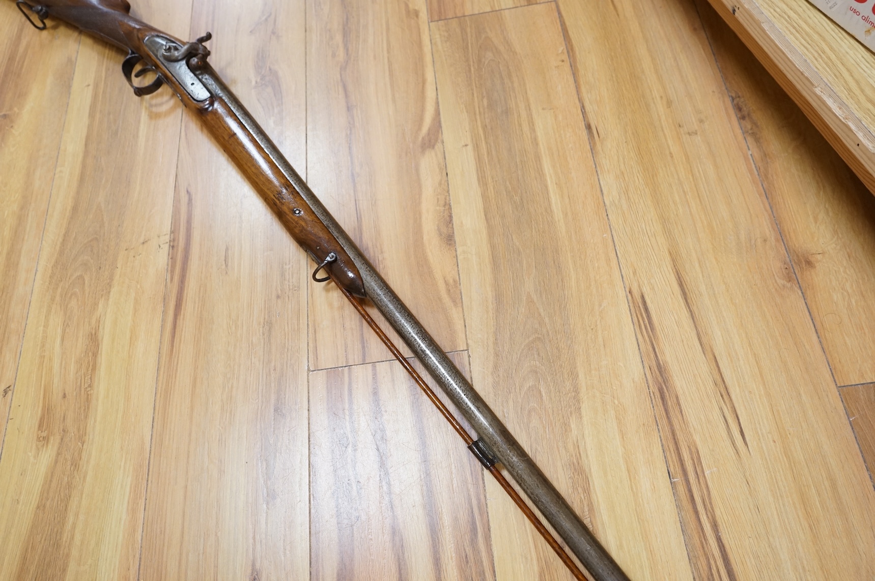 A Continental single barrel percussion sporting gun, barrel 106cm, half stocked with iron mounts and chequered grip